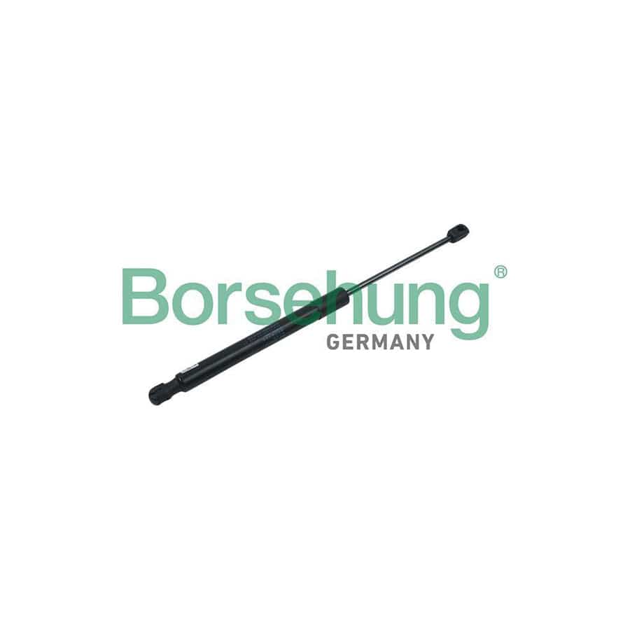 Borsehung B14192 Tailgate Strut for VW Golf IV Hatchback (1J1)