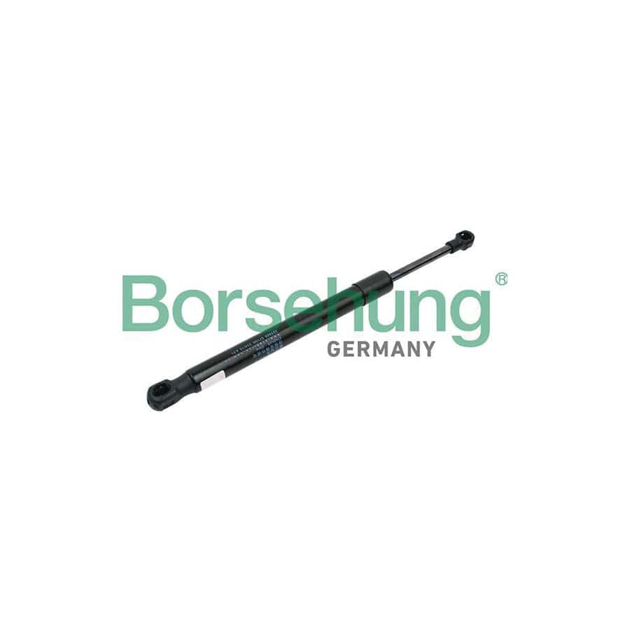 Borsehung B14190 Tailgate Strut for VW Jetta Mk5 (1K)