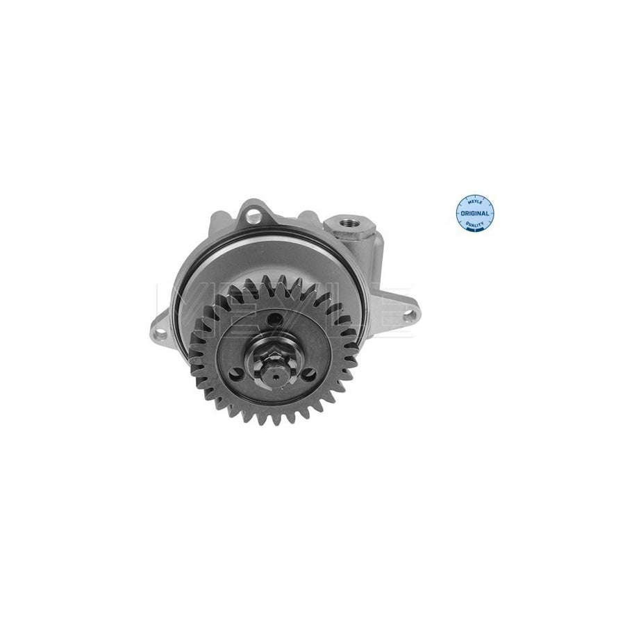 Meyle 534 631 0006 Power Steering Pump