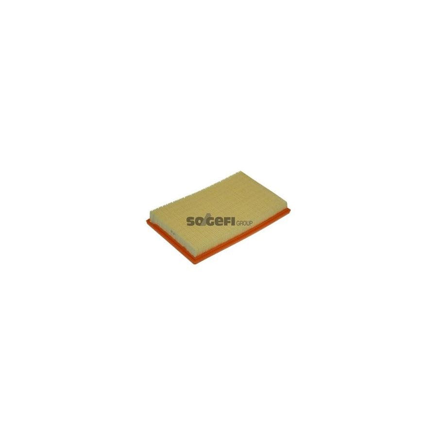 Purflux A1182 Air Filter