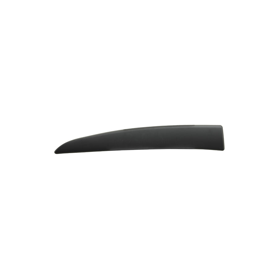Covind 580/254 Trim / Protective Strip, Sidewall