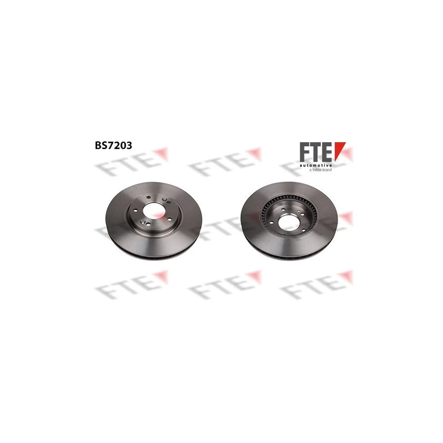 FTE Bs7203 Brake Disc