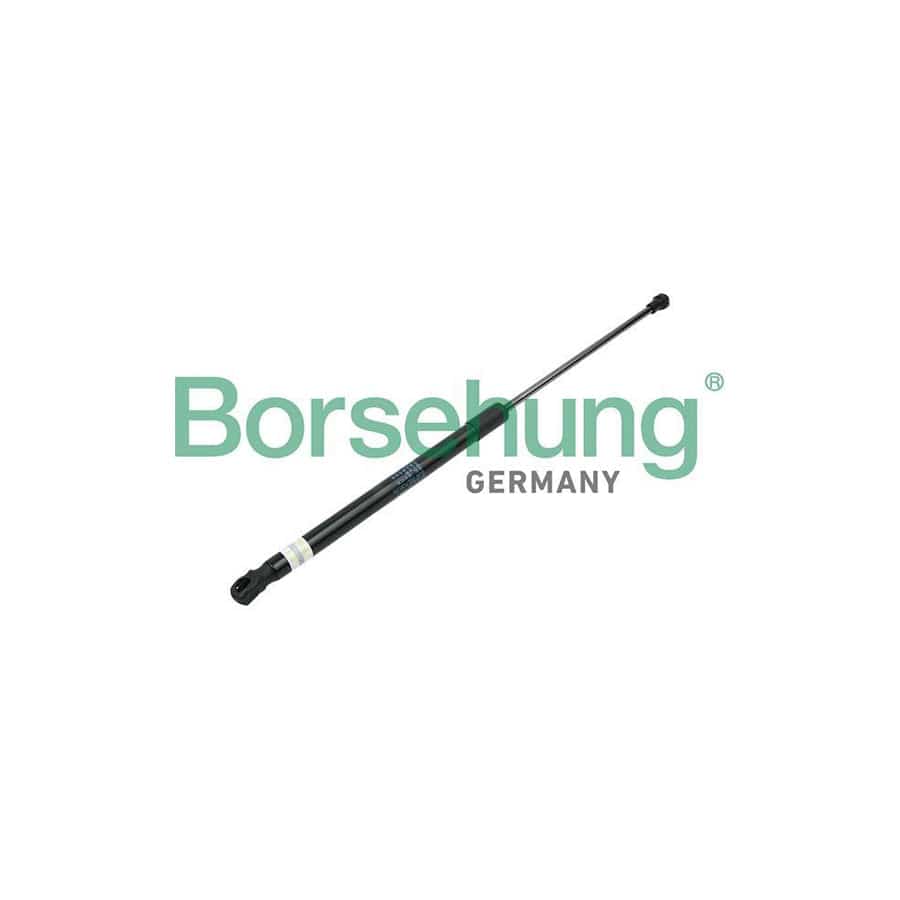Borsehung B14189 Bonnet Strut