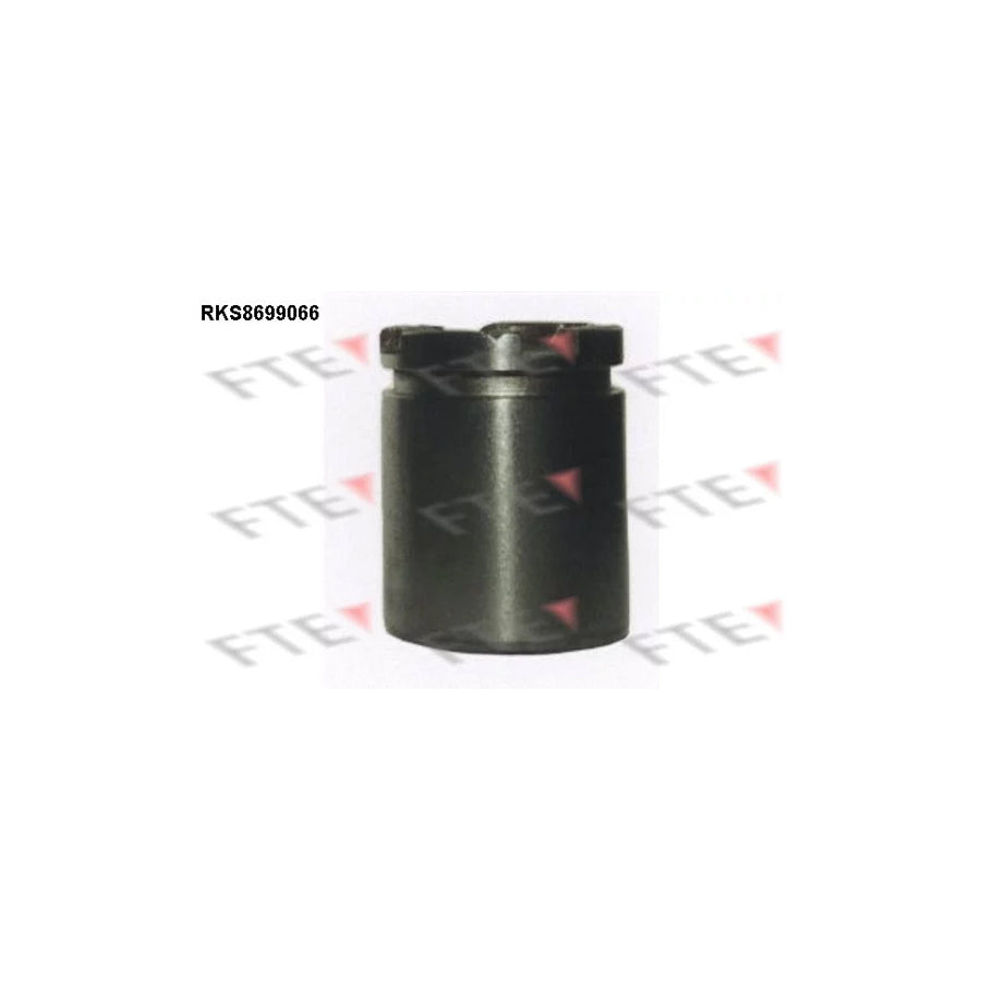 FTE 9313517 Piston, Brake Caliper