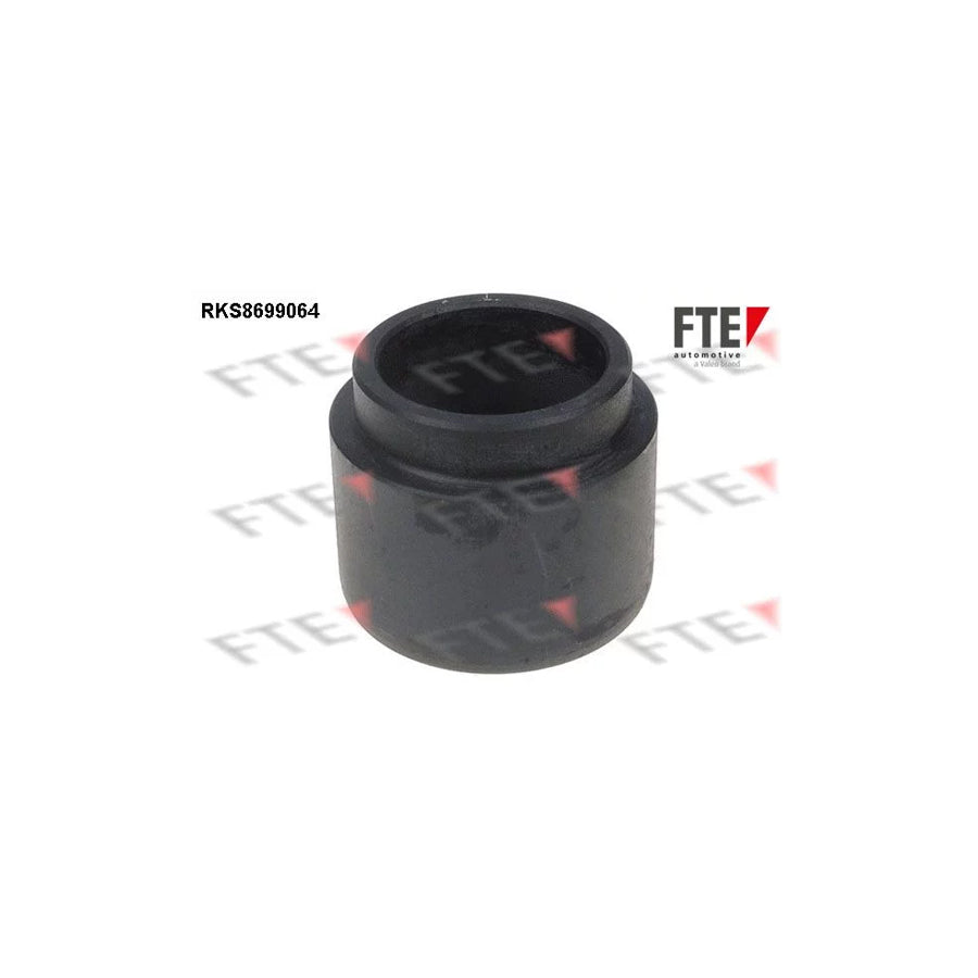 FTE 9313515 Piston, Brake Caliper