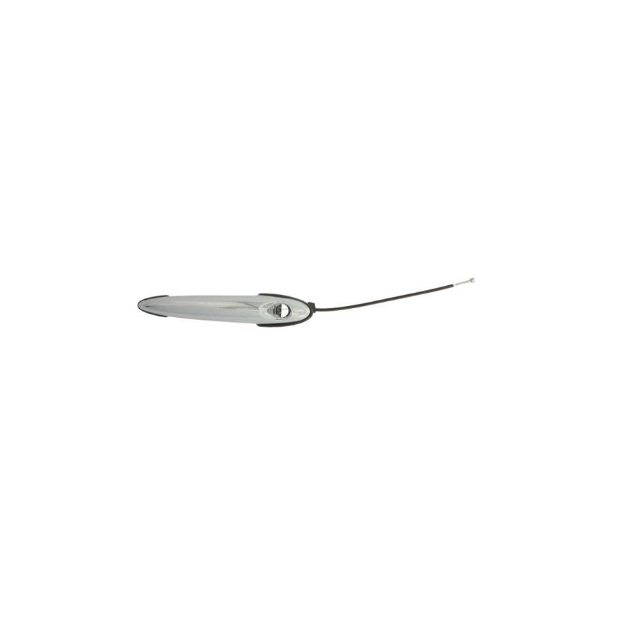 Blic 6010-05-003401P Door Handle
