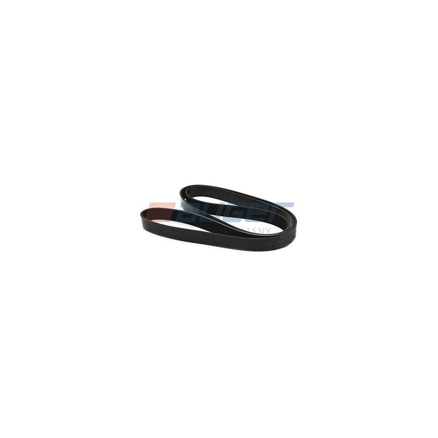 Auger 79975 V-Ribbed Belt