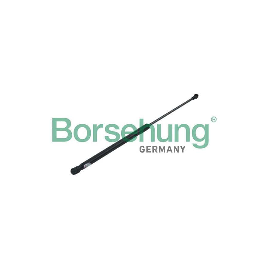 Borsehung B14188 Bonnet Strut for VW Polo