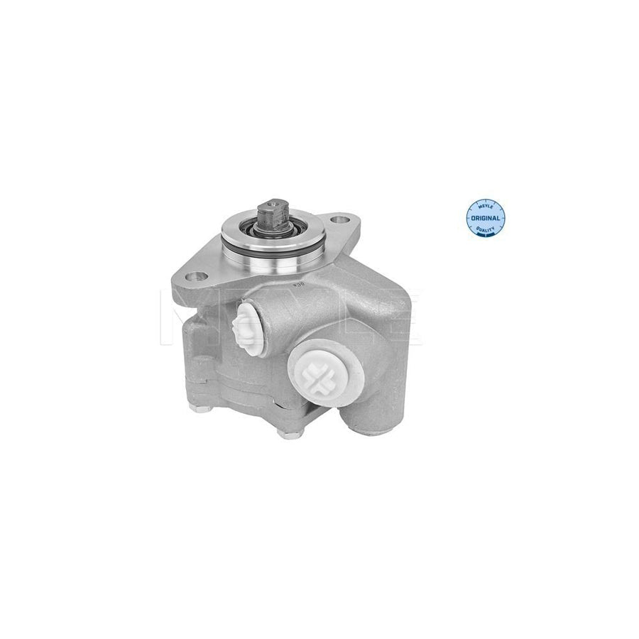 Meyle 214 631 0003 Power Steering Pump For Fiat Ducato