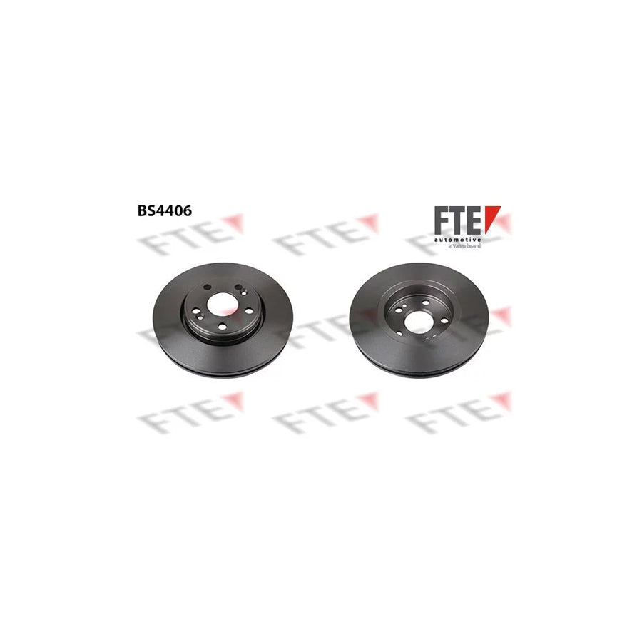 FTE Bs4406 Brake Disc