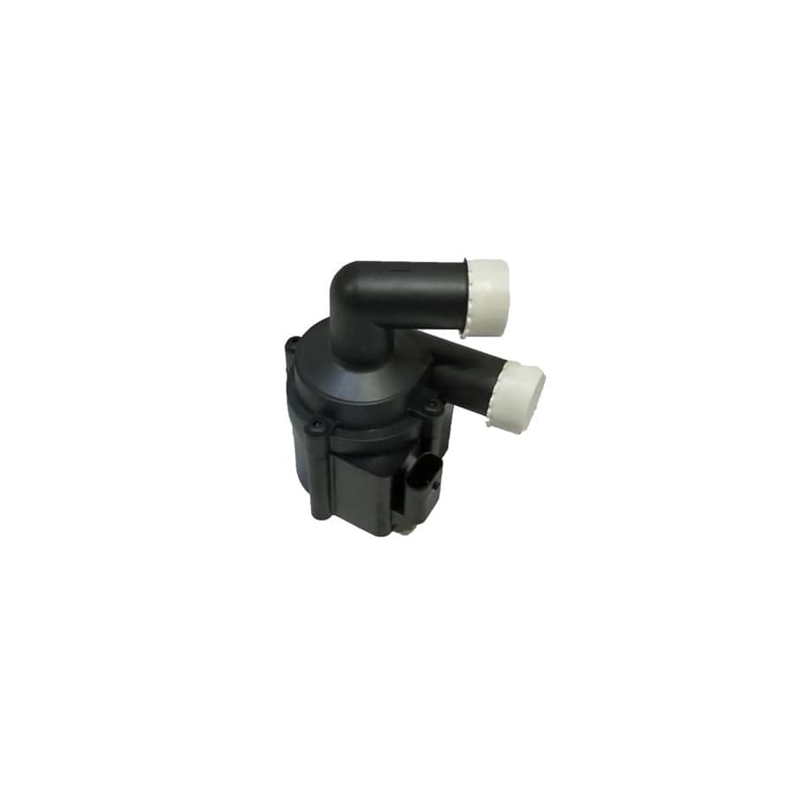 Bugiad Bsp25222 Auxiliary Water Pump