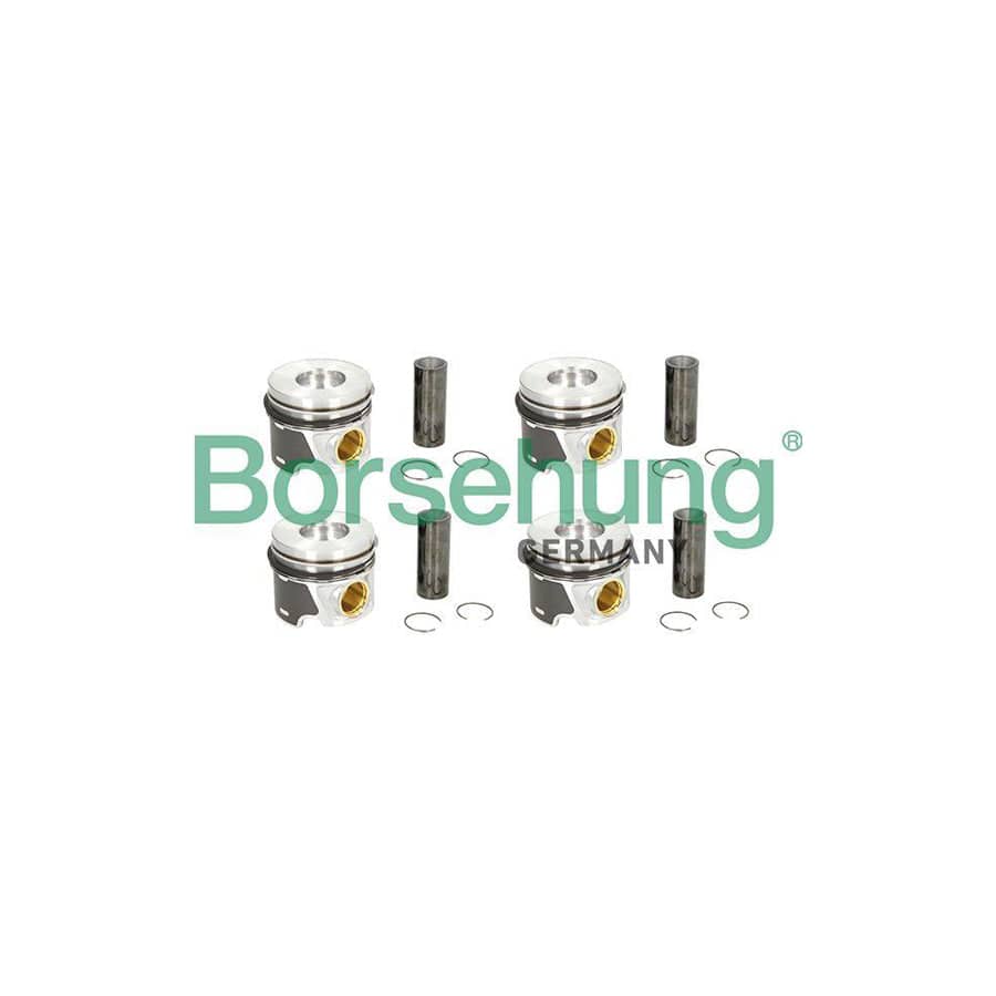 Borsehung B19303 Piston Ring Kit
