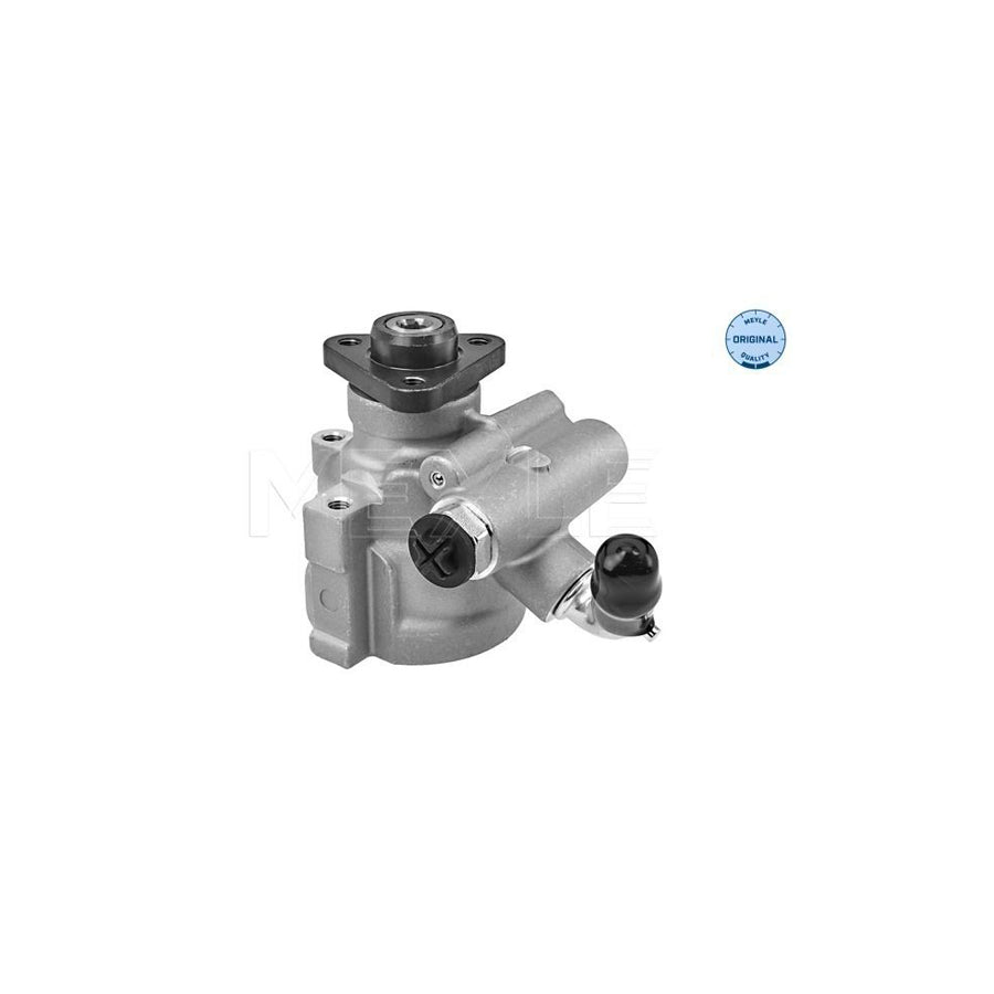 Meyle 214 631 0007 Power Steering Pump