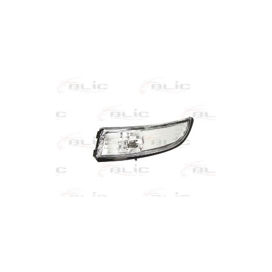 Blic 5403-03-046105P Side Indicator