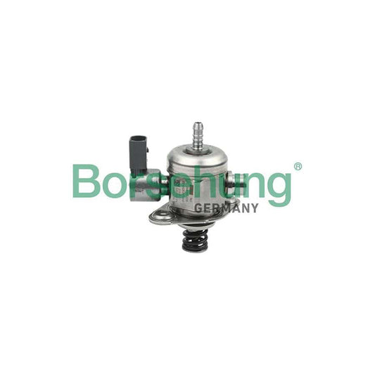 Borsehung B13841 High Pressure Fuel Pump