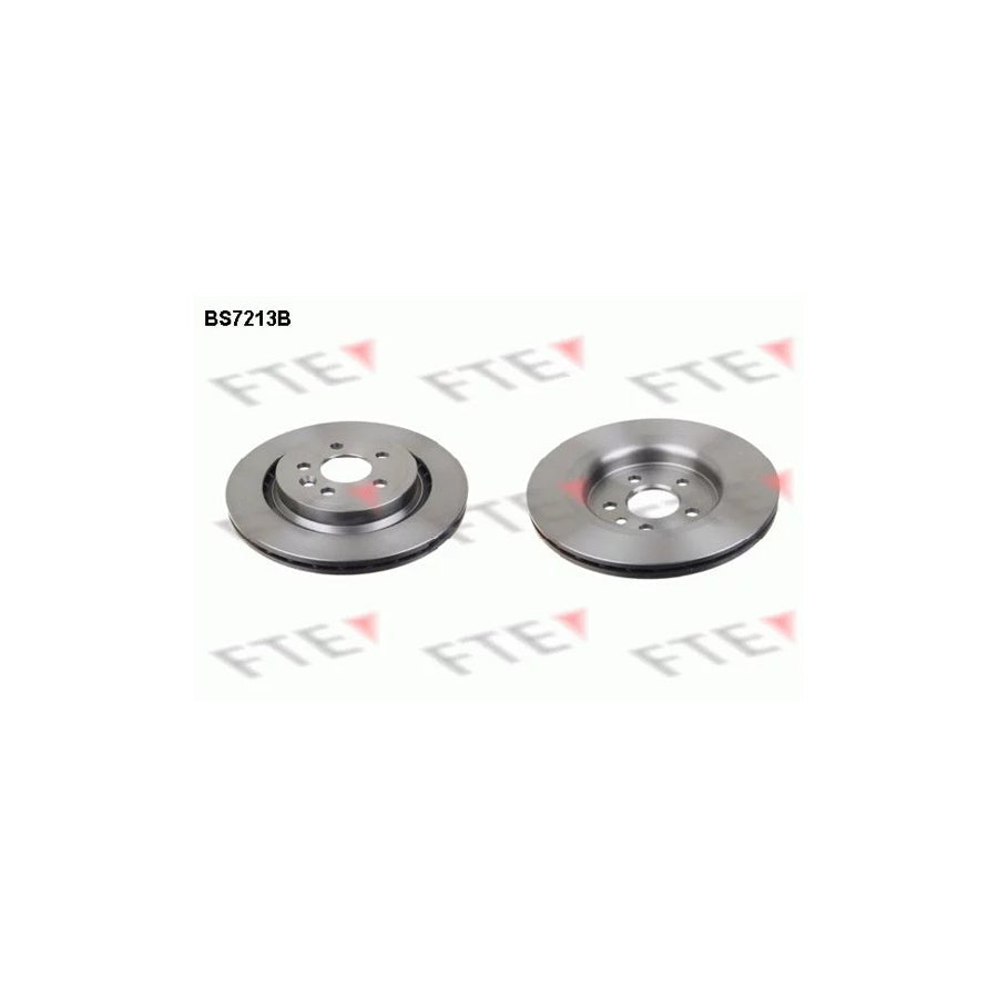 FTE Bs7213B Brake Disc