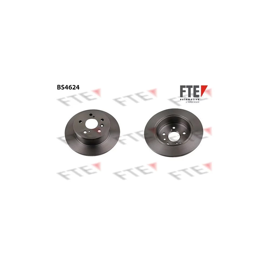 FTE 9072406 Brake Disc