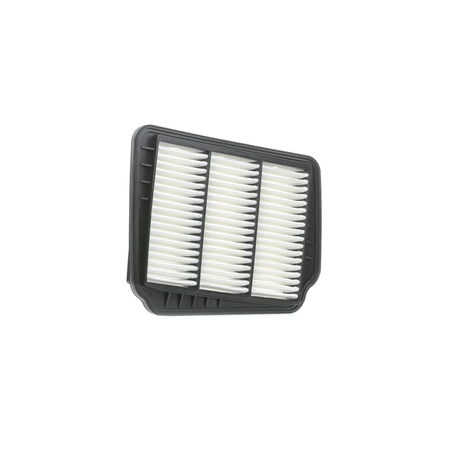 Ridex 8A0204 Air Filter