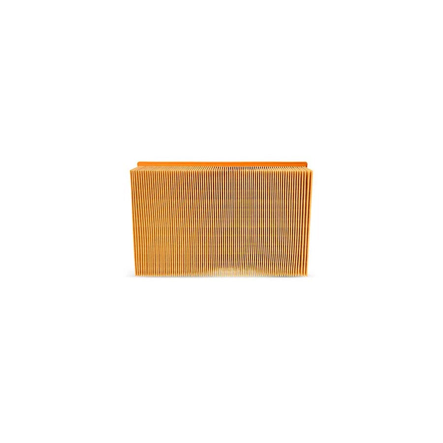 Fleetguard Af25841 Air Filter for Ford Transit