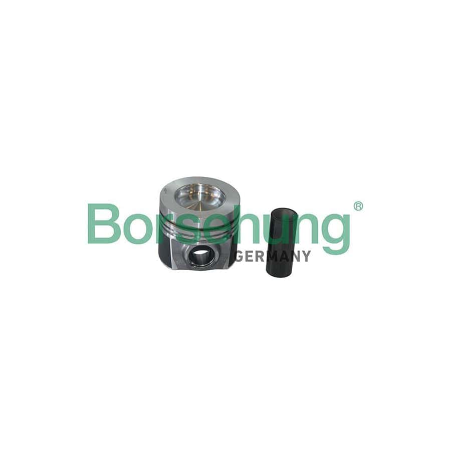 Borsehung B19298 Piston Ring Kit