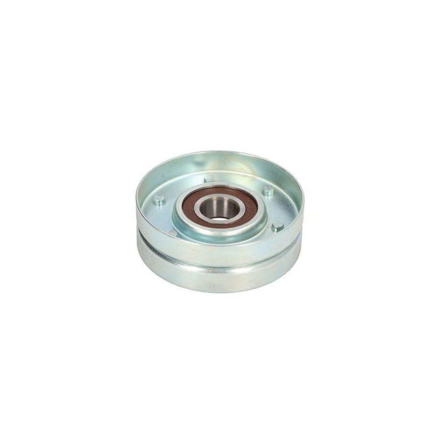BTA B05-Ag-207 Tension Spring, Tensioner Pulley (V-Belt)