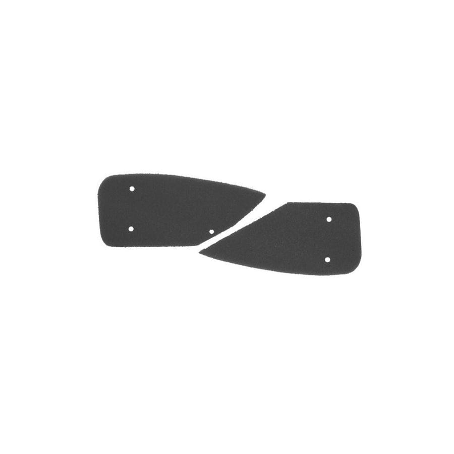 Rms 100600241 Air Filter