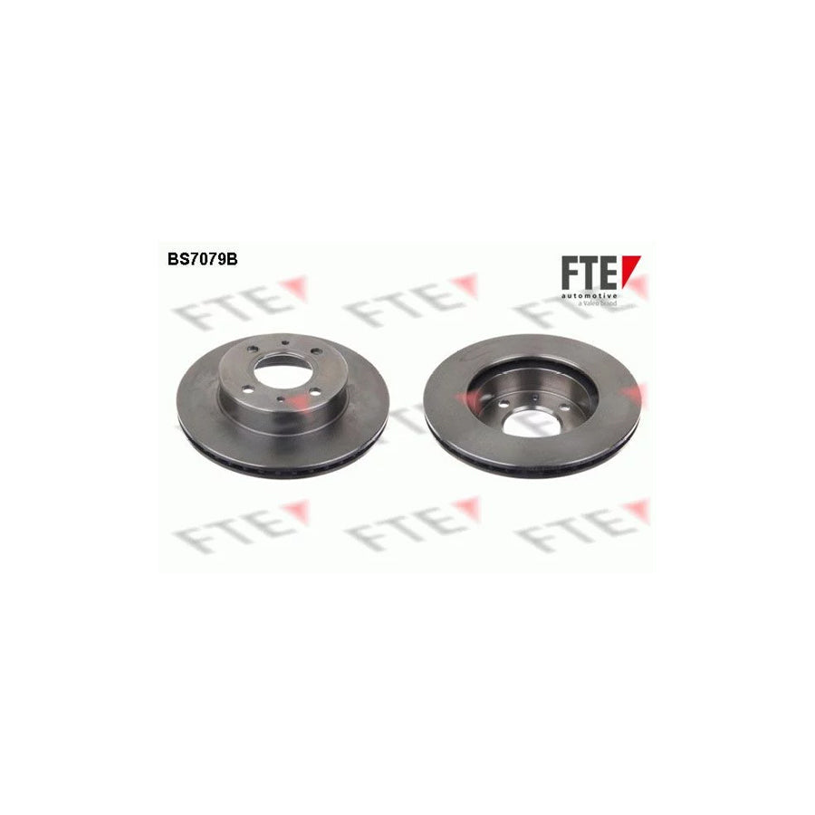 FTE 9082386 Brake Disc for Hyundai Amica / Atoz (MX)