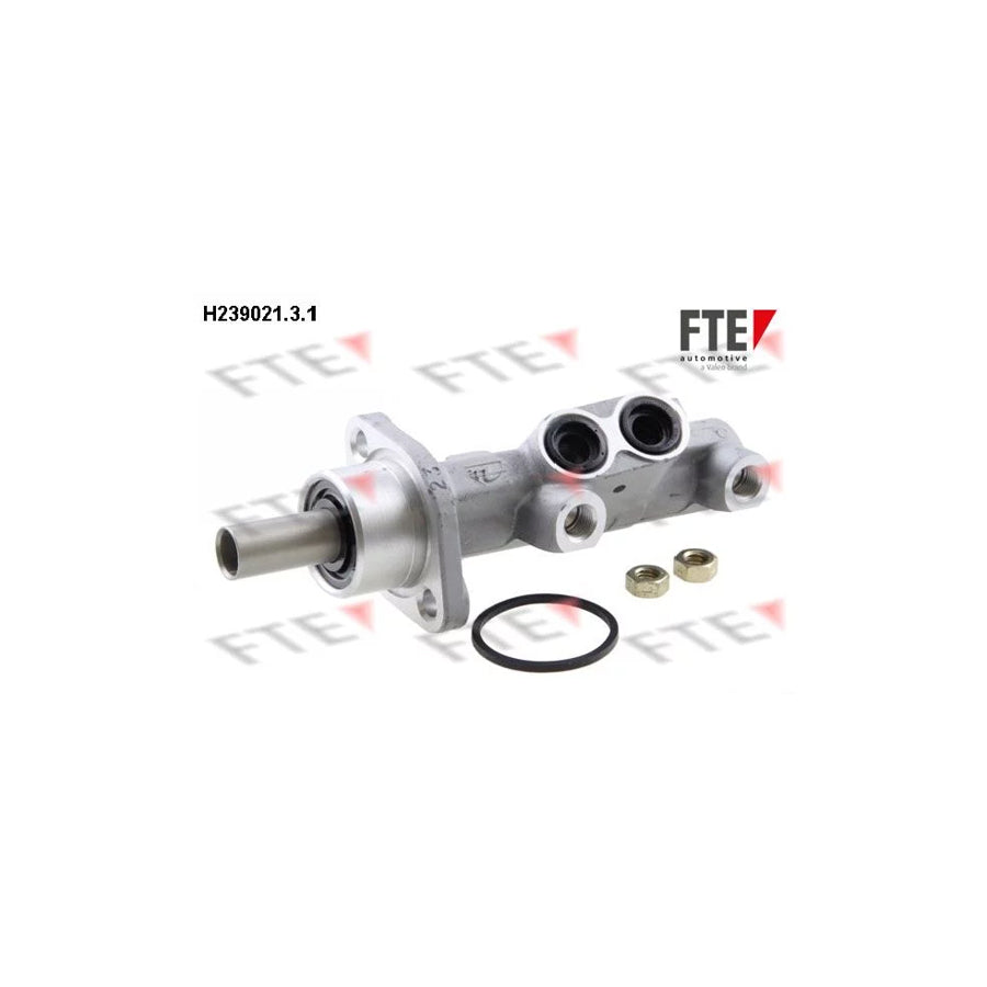 FTE 9220240 Brake Master Cylinder for Peugeot 406