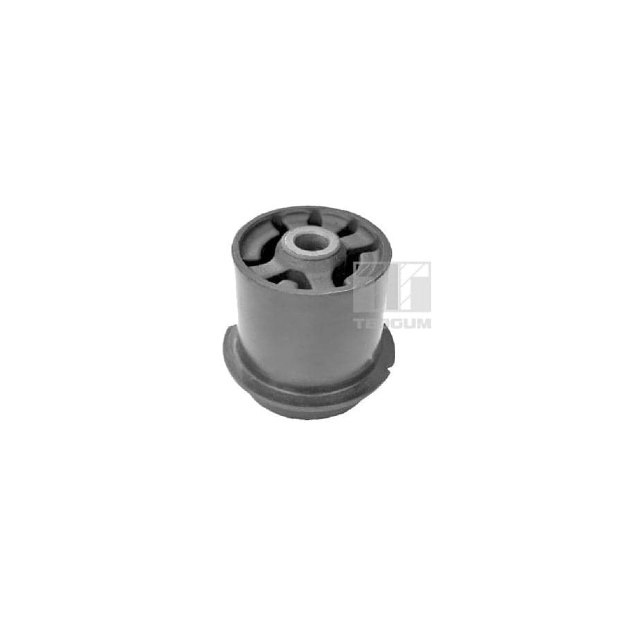 Tedgum 00056099 Axle Bush
