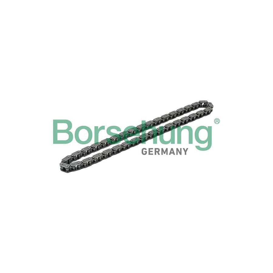 Borsehung B1C018 Timing Chain