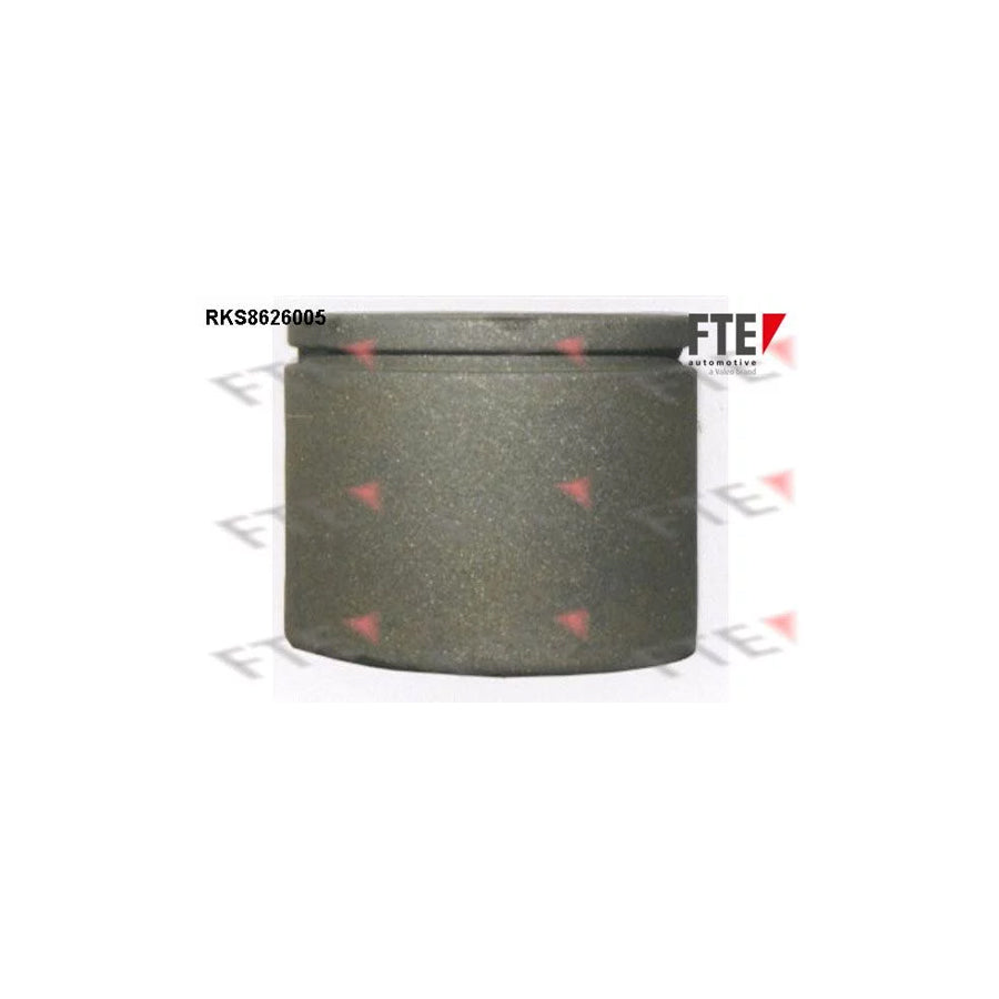 FTE 9314400 Piston, Brake Caliper