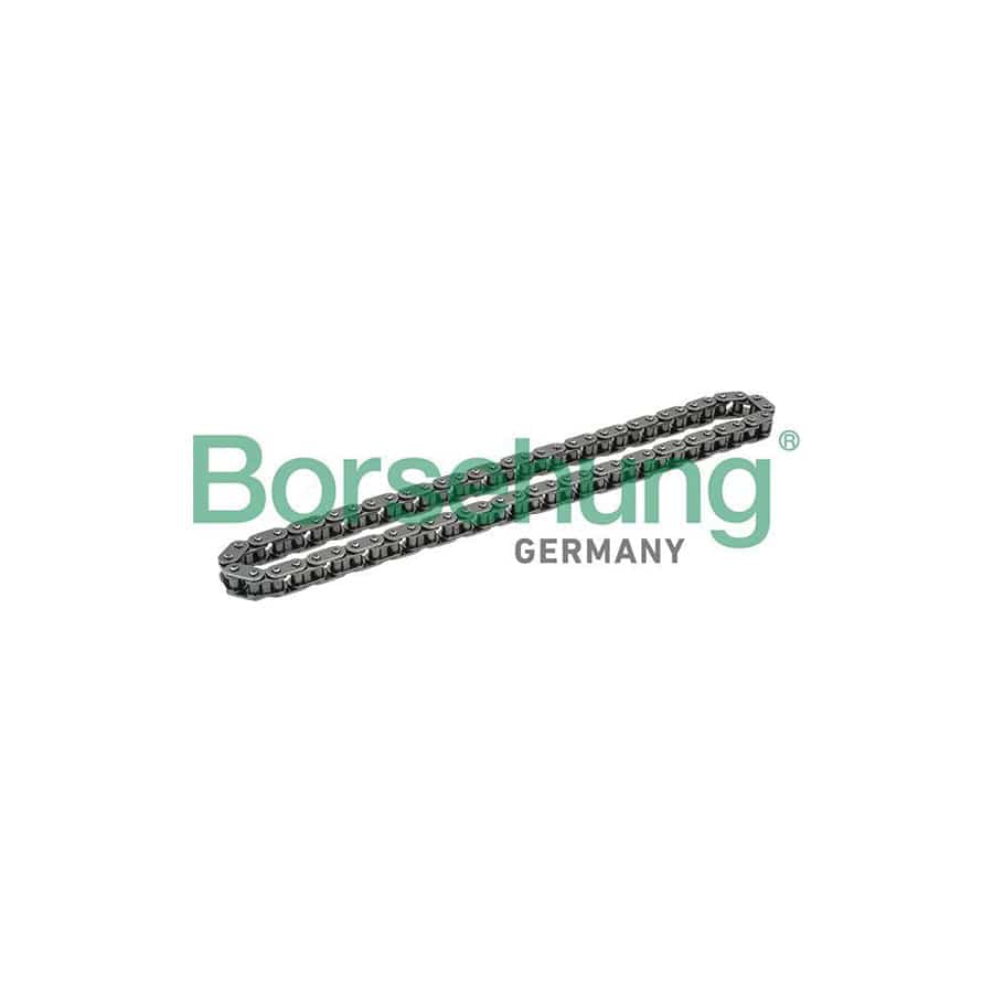 Borsehung B1C016 Timing Chain