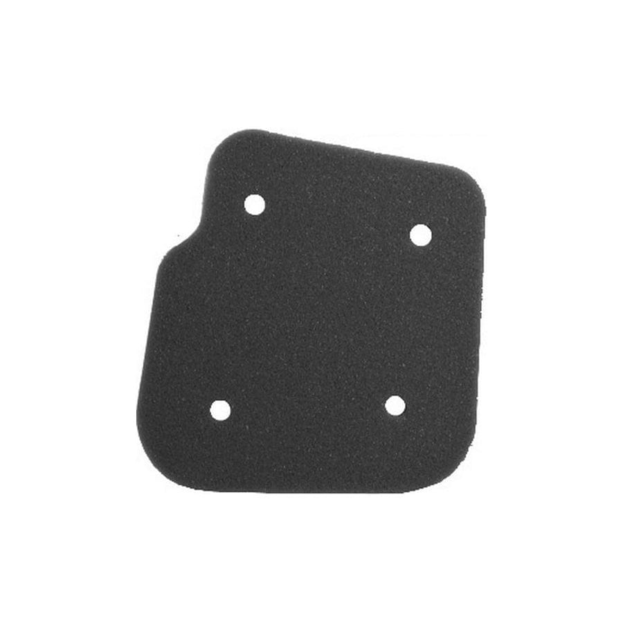 Rms 100600351 Air Filter