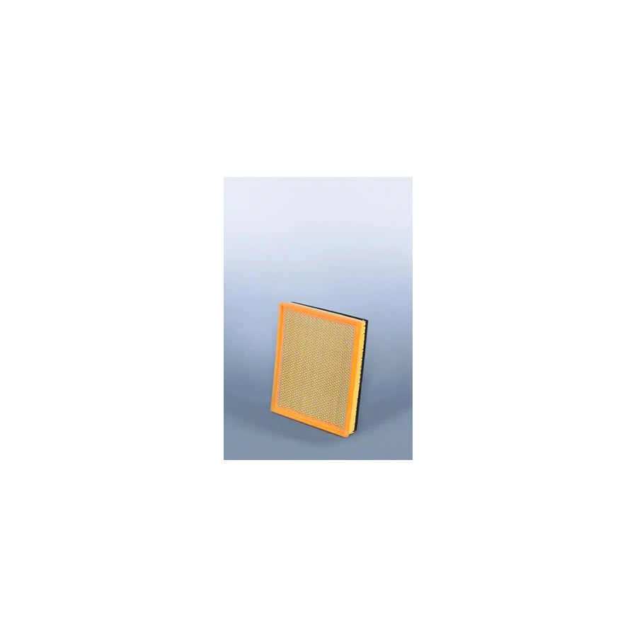 Fleetguard Af25797 Air Filter