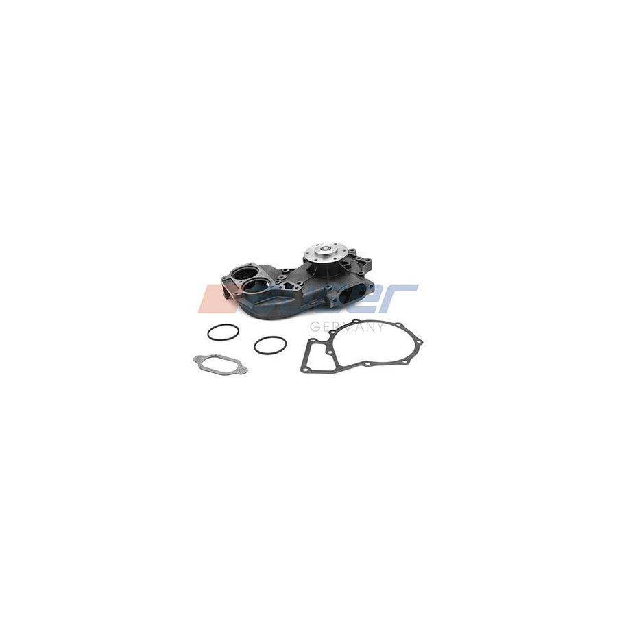 Auger 86751 Water Pump