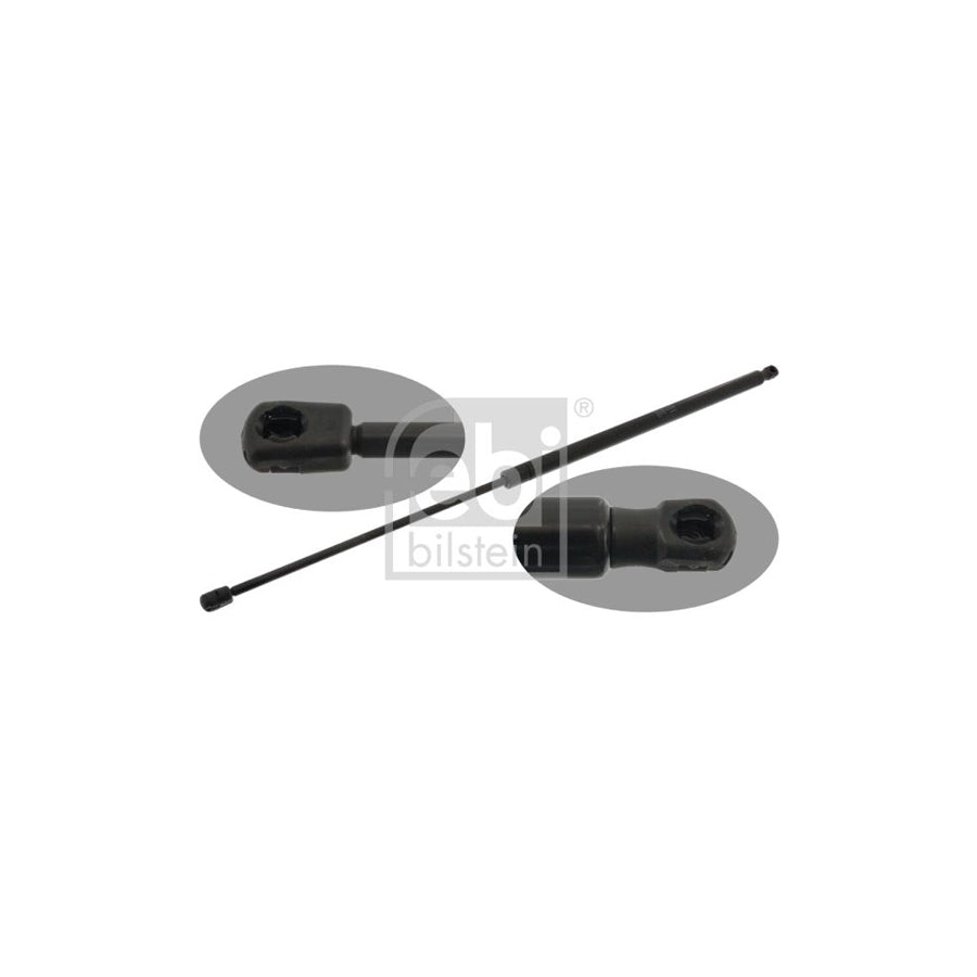 Febi Bilstein 47063 Tailgate Strut