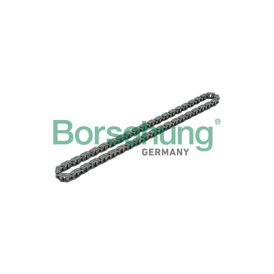 Borsehung B1C010 Timing Chain