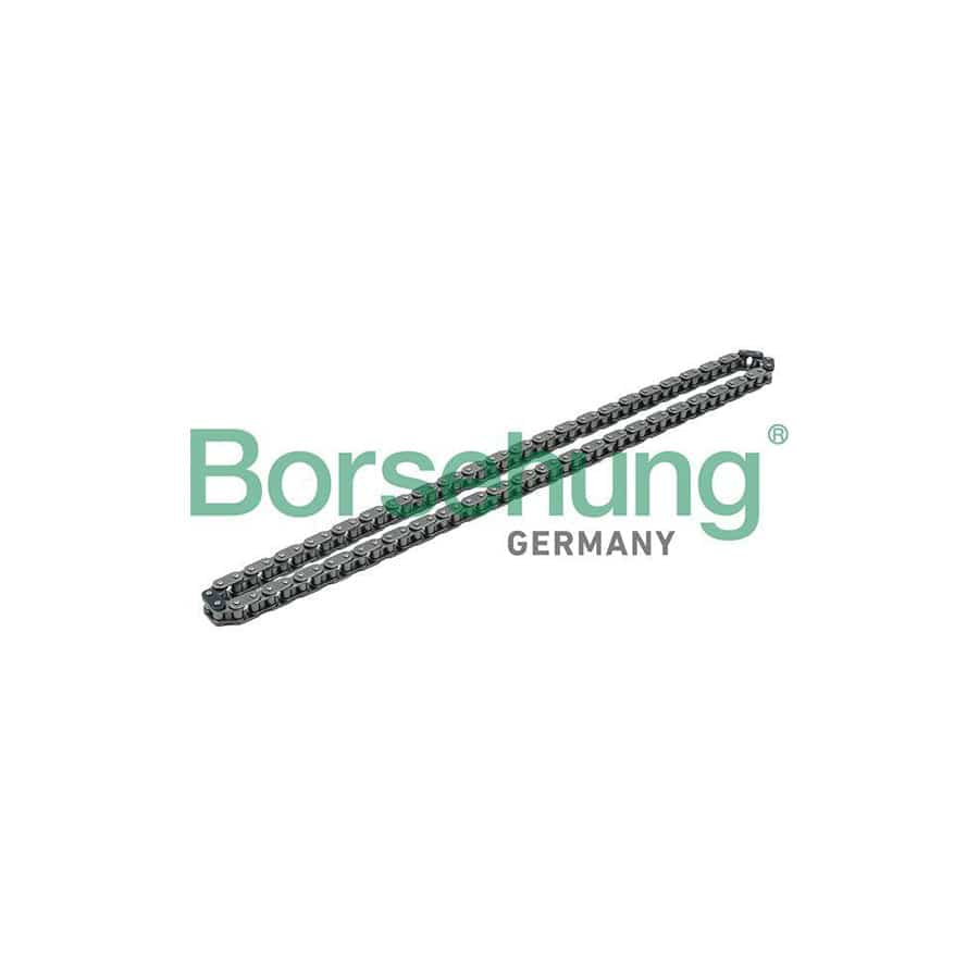 Borsehung B1C009 Timing Chain