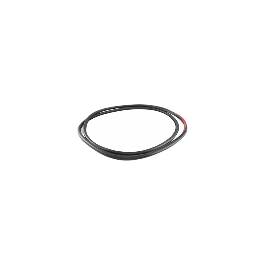 Genuine BMW 51357377416 F31 Door Weatherstrip Rear Right (Inc. 328dX, 340i & 330i) | ML Performance US Car Parts