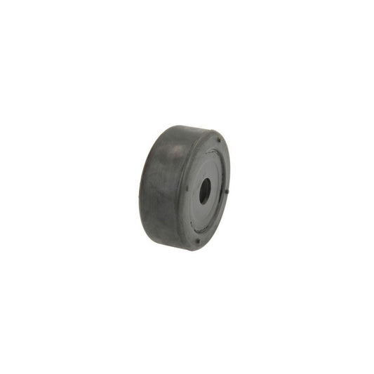 Reinhoch Rh20-1000 Mounting, Axle Bracket