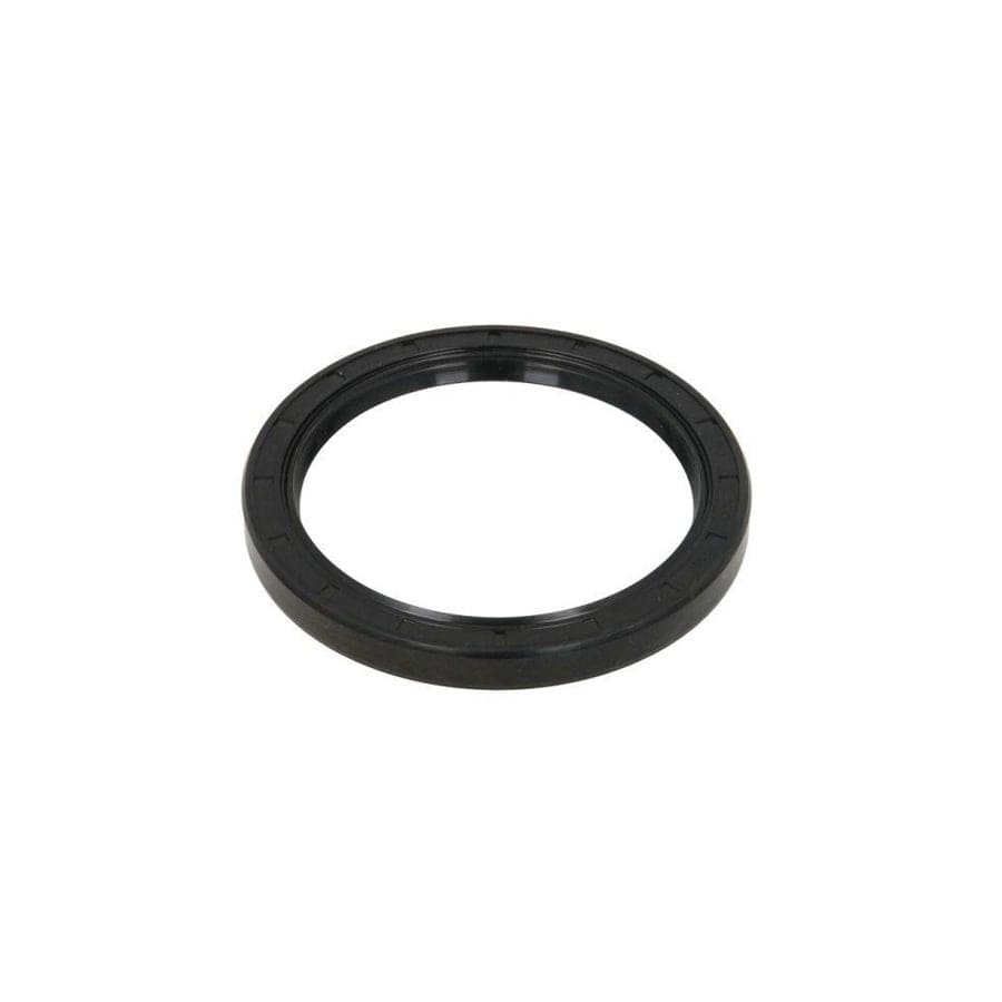 BTA B05-Ag-185 Shaft Seal, Differential
