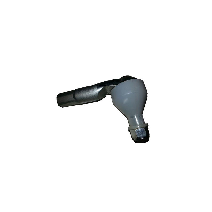 BUGIAD Bsp24481 Track Rod End