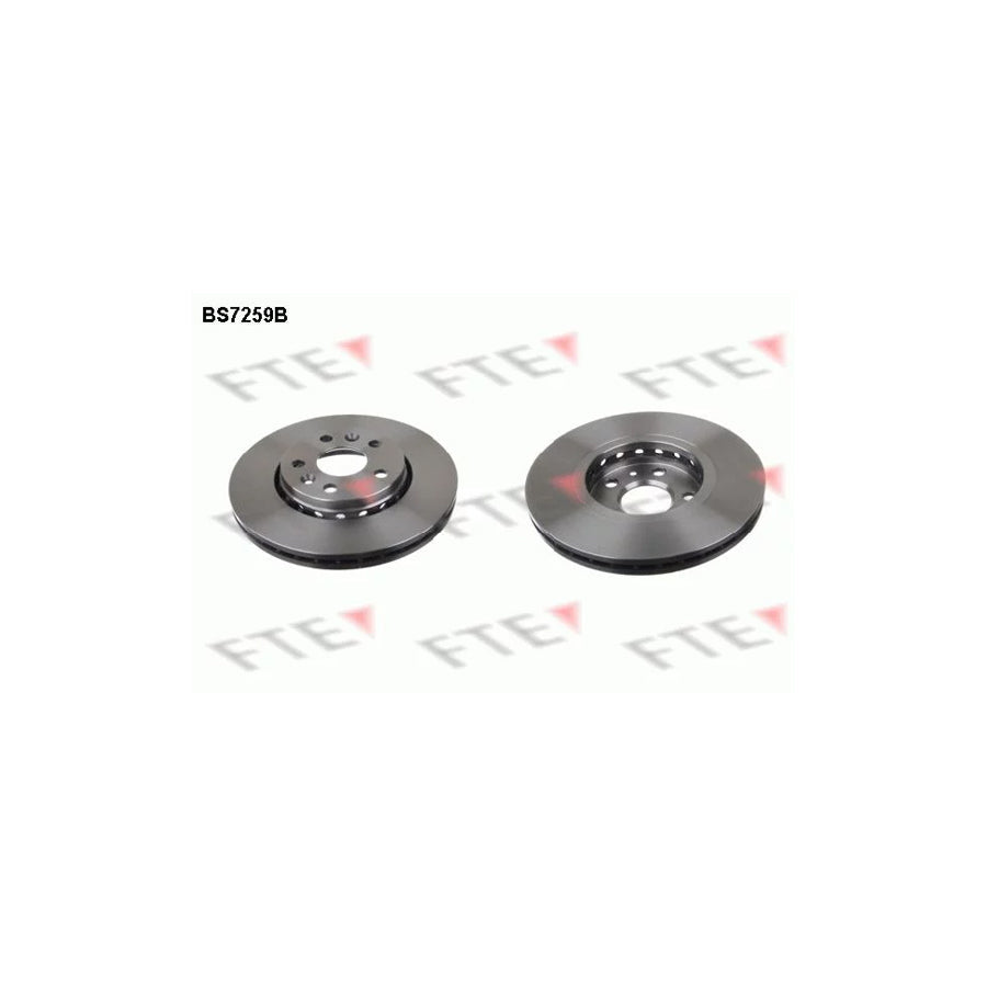 FTE 9082402 Brake Disc