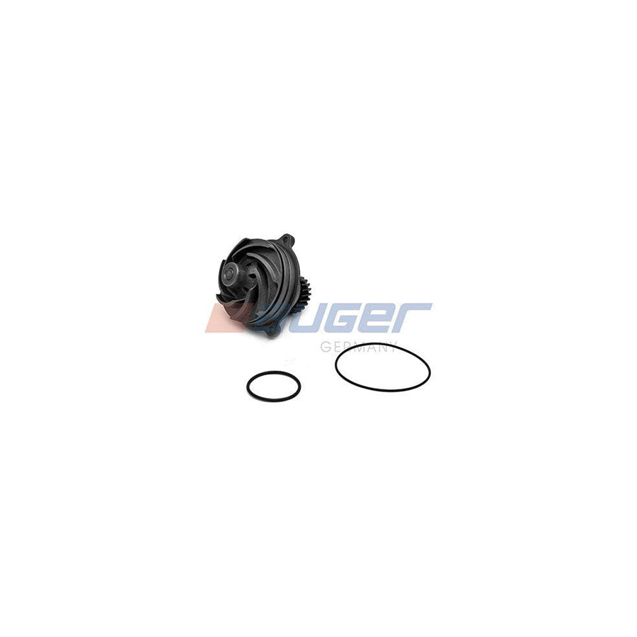 Auger 83468 Water Pump
