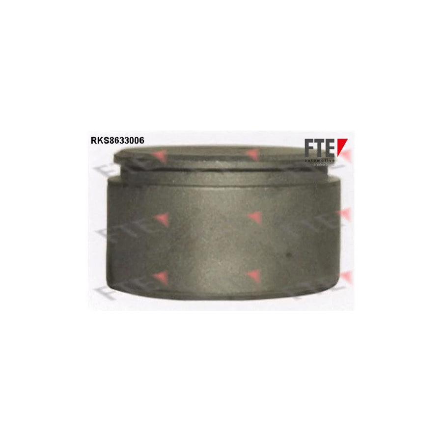 FTE Rks8633006 Piston, Brake Caliper