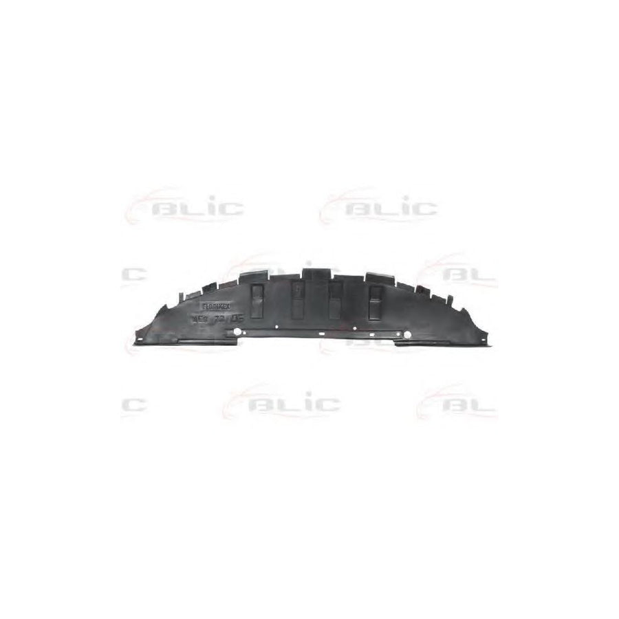 Blic 6601-02-6041880P Engine Cover