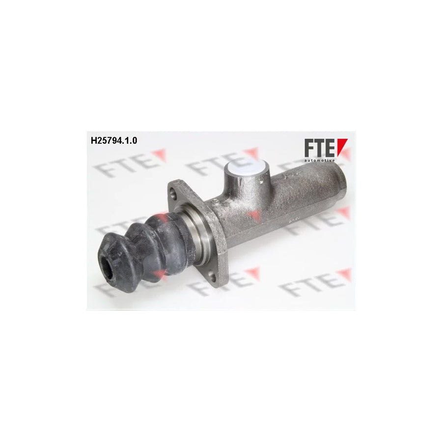 FTE H25794.1.0 Brake Master Cylinder