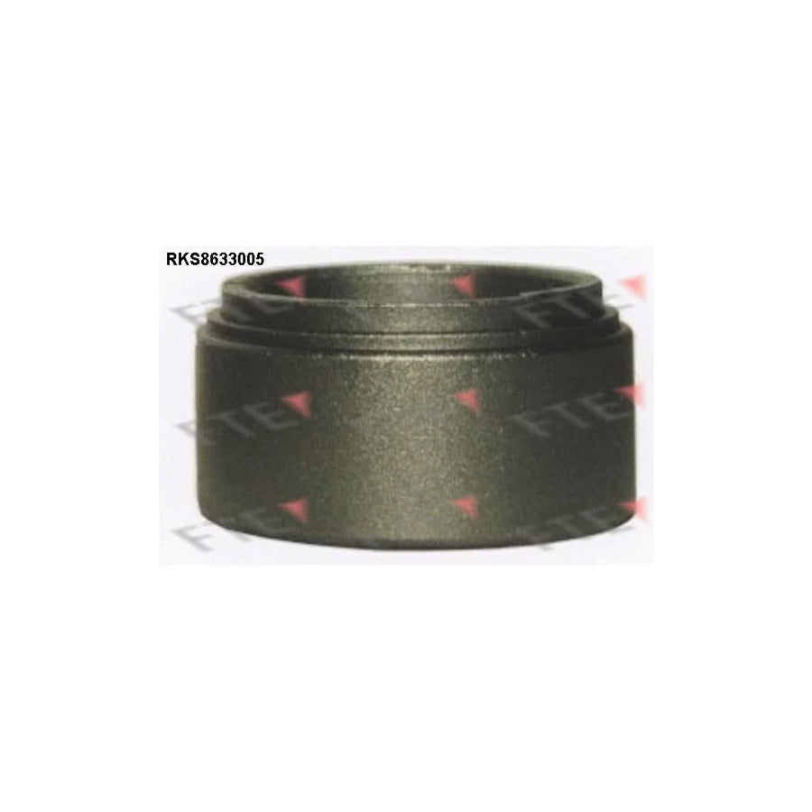 FTE Rks8633005 Piston, Brake Caliper