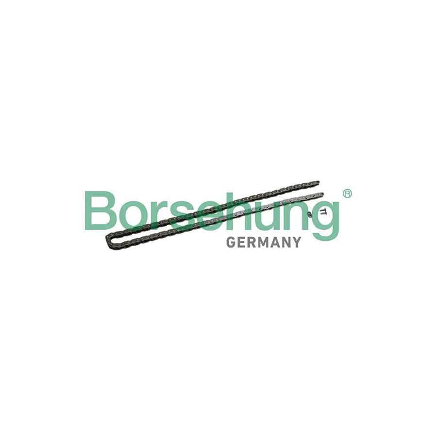 Borsehung B1C027 Timing Chain