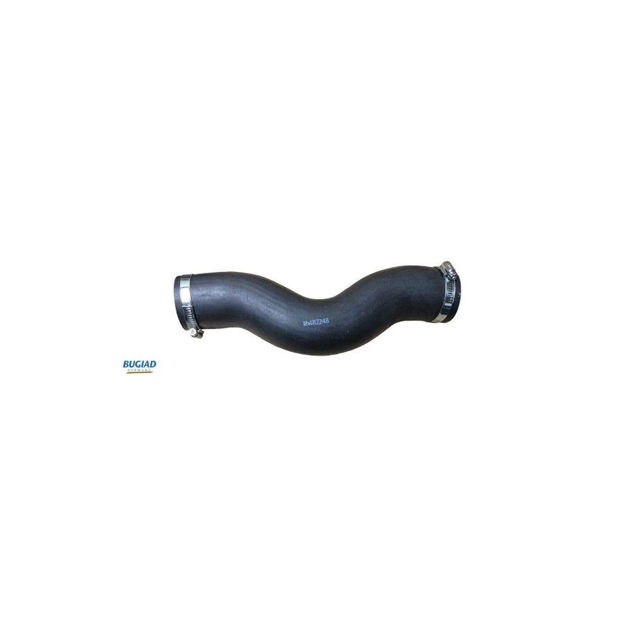 BUGIAD 82248 Charger Intake Hose for KIA Sorento I (Jc)